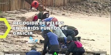 Algunos alumnos de Educación y Control Ambiental colaboran recogiendo pellets en Galicia