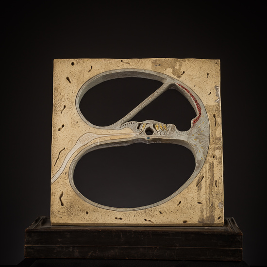 IES_SANISIDRO_BIOLOGIA_259