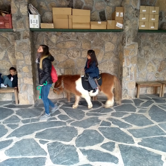 Granja de los Cuentos Infantiles II 21