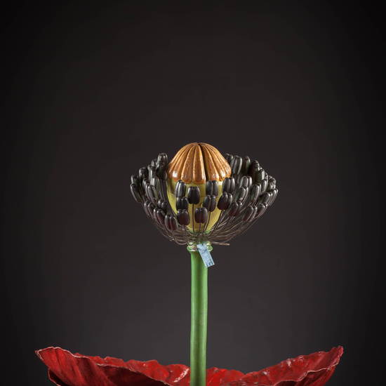 IES_CARDENALCISNEROS_BOTANICA_III_MODELOS_071