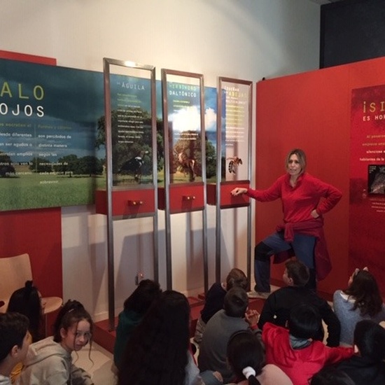 Centro de Interpretación de la Naturaleza. Montecarmelo. 6º curso. 7