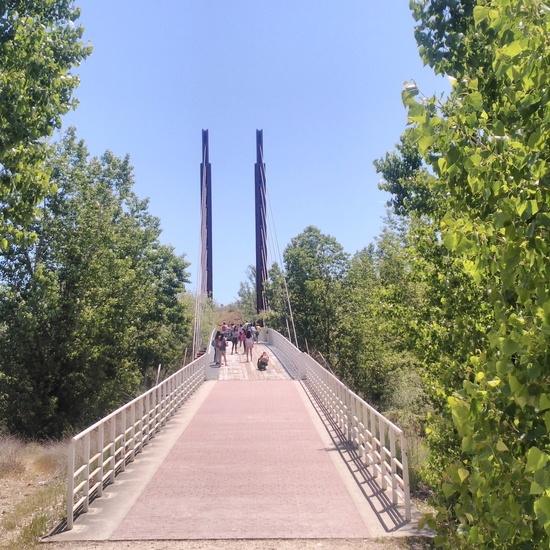 Parque arqueológico de Carranque. 1º ESO. 3 Mayo 2017 6