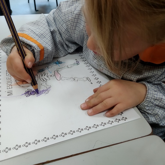 Así trabajo en las Hormigas (2)