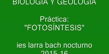 IES LARRA BACH NOCTURNO 2016 " FOTOSÍNTESIS"