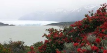 Curva de los suspiros, Glaciar Perito Moreno, Argentina