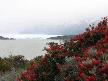 Curva de los suspiros, Glaciar Perito Moreno, Argentina