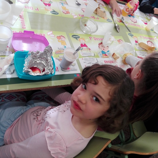 DESAYUNO SALUDABLE 3