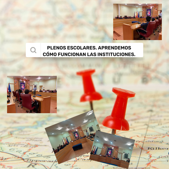 ¿CÓMO FUNCIONAN LAS INSTITUCIONES?PLENOS ESCOLARES 5º