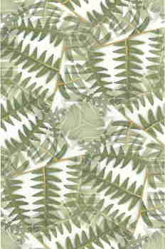 Simetrías traslúcidas