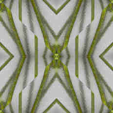 Ramas verdes, con fantasía en cristal