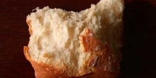 Pedazo de pan