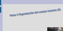 Tema 3 Organización del cuerpo humano (II)