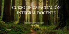 Video CID