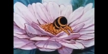 VIDEO LA ABEJA MAYA