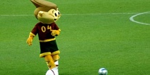 Kinas, Mascota de la Eurocopa 2004, Portugal