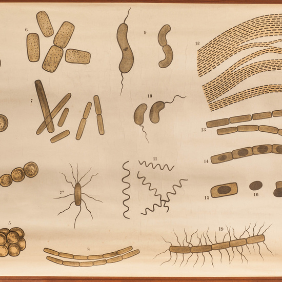 IES_SANISIDRO_LAMINAS_015