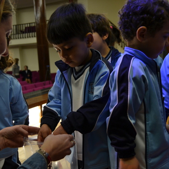 NAVIDAD 2017 REYES MAGOS_3 3