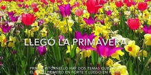 La primavera de Vivaldi: soneto, estructura y comentarios