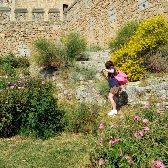 Camino de Santiago 4
