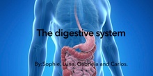 DIGESTIVE SYSTEM