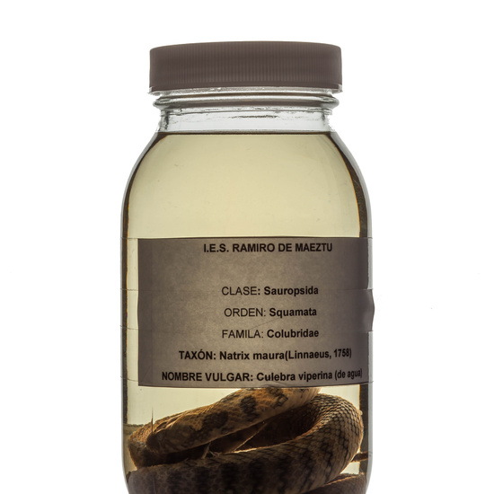 IES_RAMIRODEMAEZTU_BIOLOGIA_068