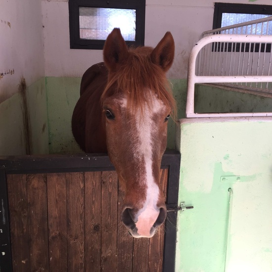4º en la Granja Escuela El Rodeo. 12