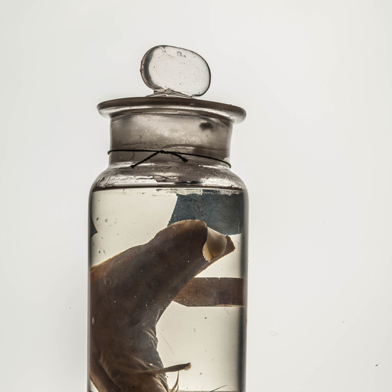 IES_CARDENALCISNEROS_CIENCIASNATURALES_163