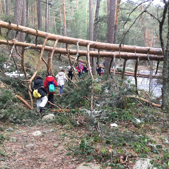 4ºC de Senderismo en la Boca del Asno_CEIP FDLR_Las Rozas 7