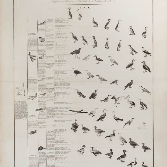 IES_CARDENALCISNEROS_ZOOLOGIA_I_LAMINAS_017