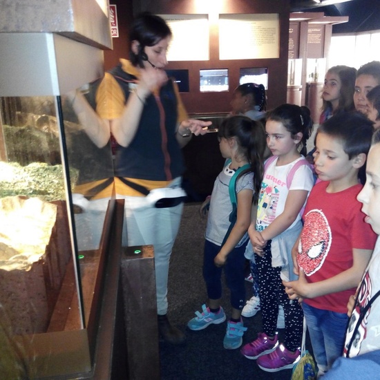 Visita a la exposición El Bosque. 1º 2º Primaria. CEIP Pinocho. 2016/17 5