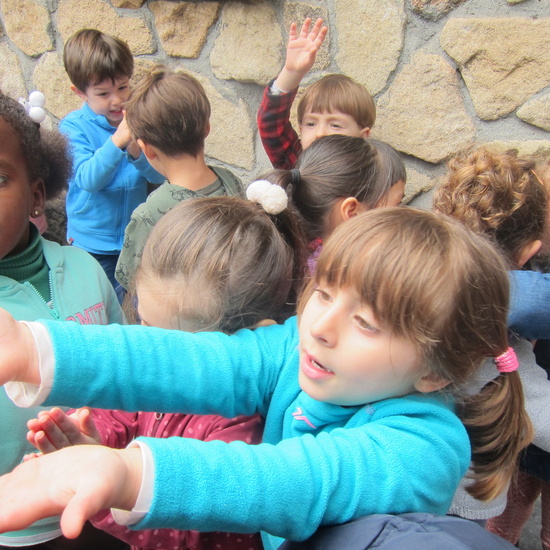 Granja Escuela Educación Infantil Curso 2017-18_2 33