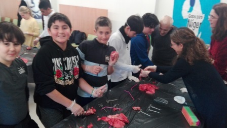 2018_02_09_DISECCION CORAZON Y PULMONES_SEXTO_CEIP FDLR_LAS ROZAS 12