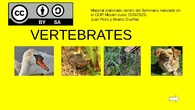 VERTEBRATES.pptx