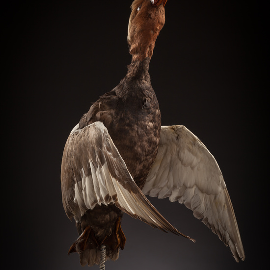 IES_CERVANTES_BIOLOGIA_056