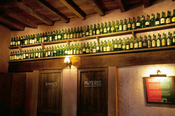 Colección de distintas botellas de sidra natural, Museo de la Si