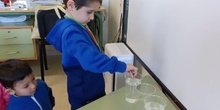 Experimento "El agua que camina."  4 AÑOS A