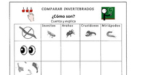 Tablas Vertebrados e Invertebrados PICTOS