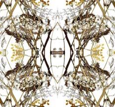 Simetría en cuadro de la fantasía