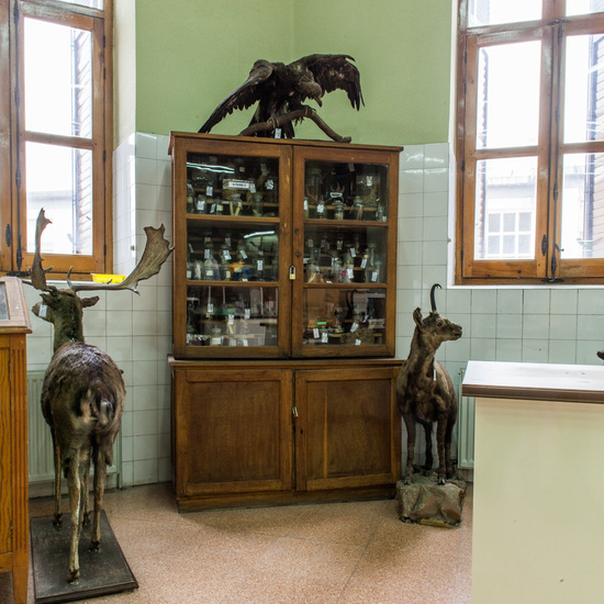 IES_CERVANTES_EDIFICIO_032