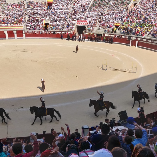 Las Ventas 2019 22