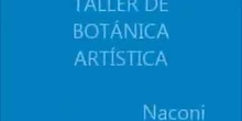 Taller de Botánica Artística