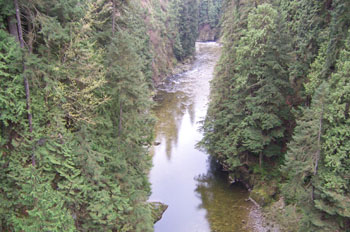 Cañón Capilano, Vancouver