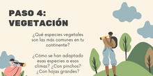 Paso 4 vegetación