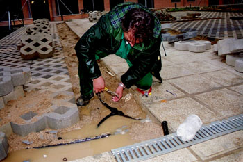 Instalación del sistema de riego