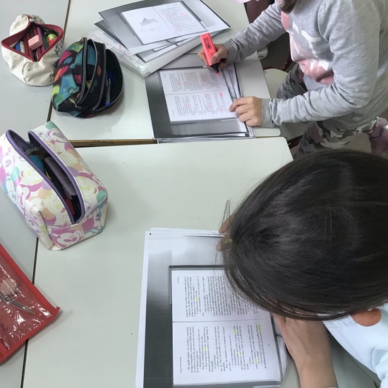 Determinantes Indefinidos & El Principito