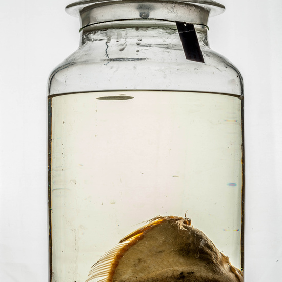 IES_CARDENALCISNEROS_CIENCIASNATURALES_377