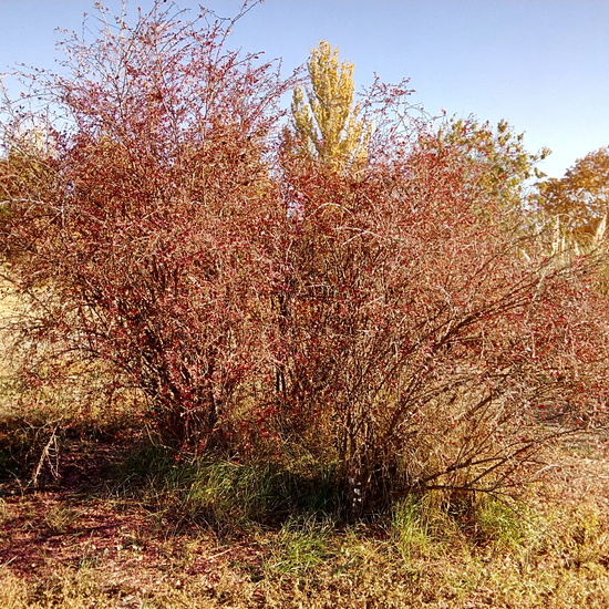 VISITA CARABANCHEL. 6º 12