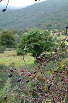 Paisaje rural, Patones, Madrid