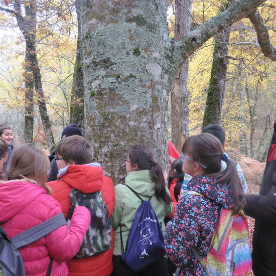 El cole en imágenes 23