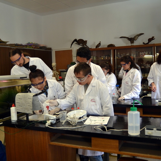 Proyecto de Aprendizaje y Servicio  10